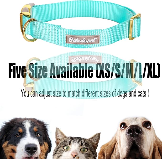 Nylon Dog Collar - Image 8