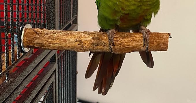 Polly's Hardwood Bird Perch - Image 3