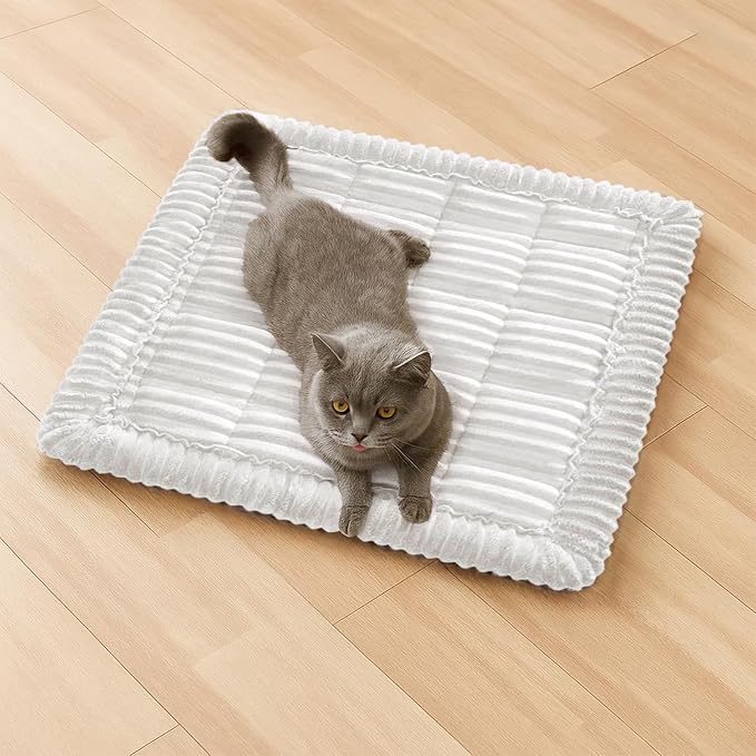 FUNNY FUZZY Pet Couch Covers for Sofa, Washable Dog Couch Cover Protector for by FUNNYFUZZY