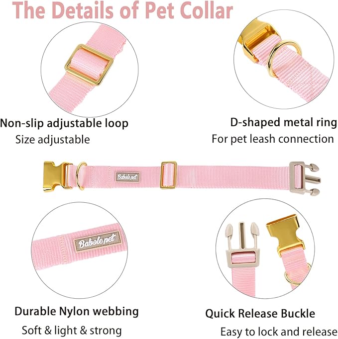 Nylon Dog Collar - Image 4