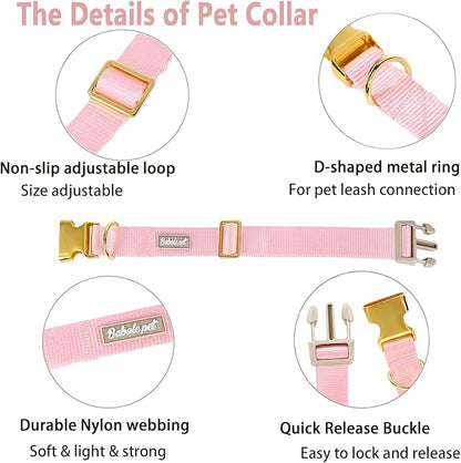 Nylon Dog Collar - Image 4