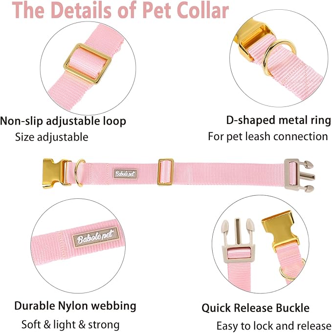 Nylon Dog Collar - Image 4