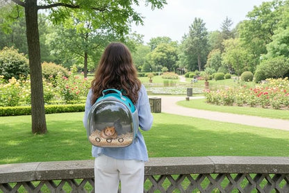 Small Animal Carrier Guinea Pig Backpack, Transparent, Breathable Backpack - Image 7