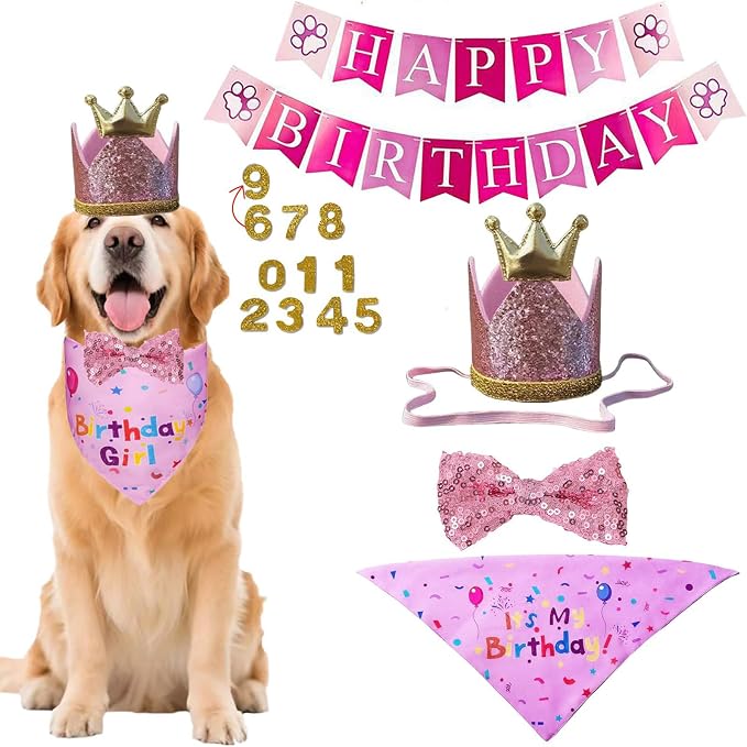 Happy Birthday Dog Party Supplies Kit by BeFirst