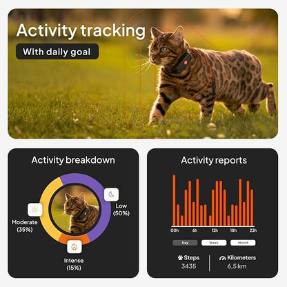 Weenect Cat XS - New GPS Tracker - Image 3