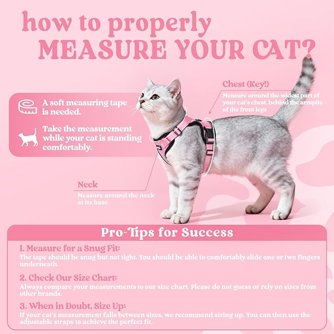 rabbitgoo Cat Harness and Leash - Image 2