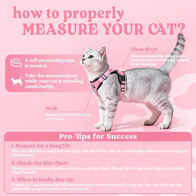 rabbitgoo Cat Harness and Leash - Image 2