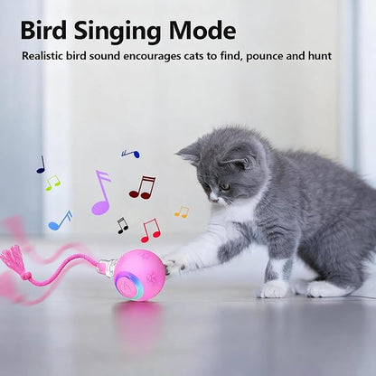 FUNNYDUCK Speed 2.0 Tail Interactive Cat Toy – Motion-Activated Rolling Ball - Image 4