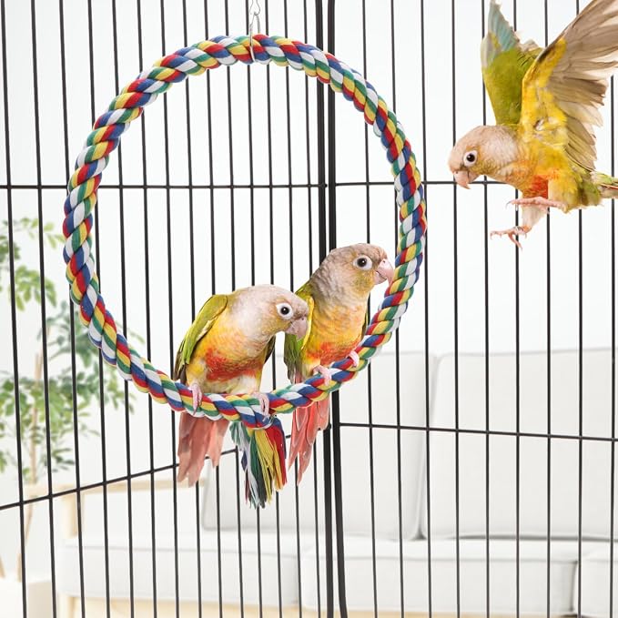 Bird Rope Swing Colorful Perch Climbing Toy - Image 2