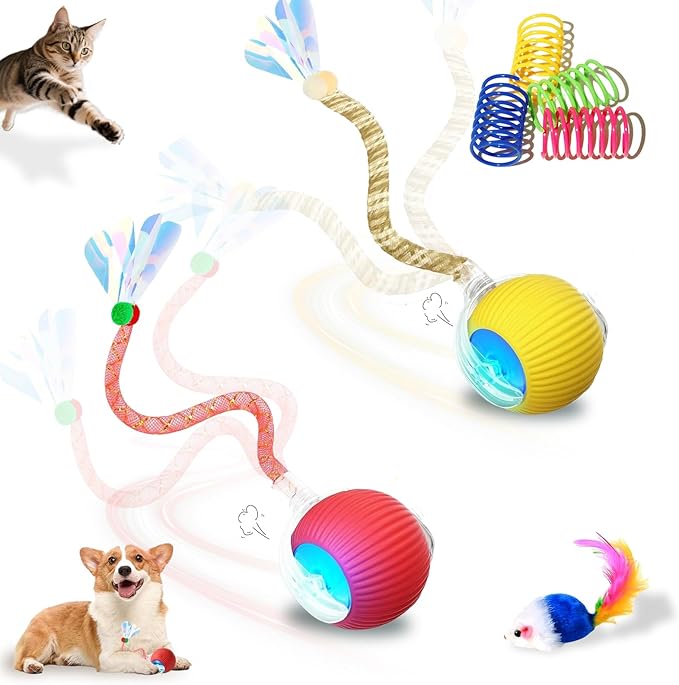 Interactive Cat Toys Ball for Indoor Cats＆Dogs, Automatic Cat Toy 360° by Petayouj