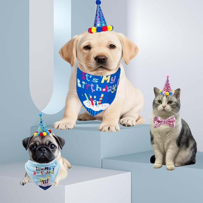 Pet Birthday Party Set, Dogs Bandana and Dog Birthday Hat - Image 5