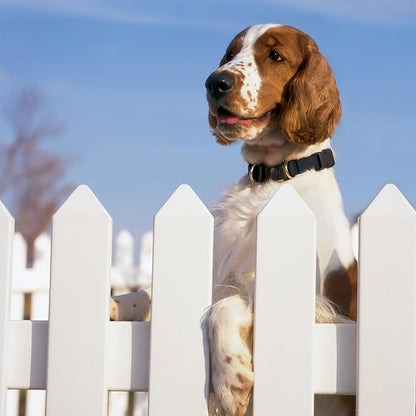 PetSafe KeepSafe Collar for Dogs - Image 3
