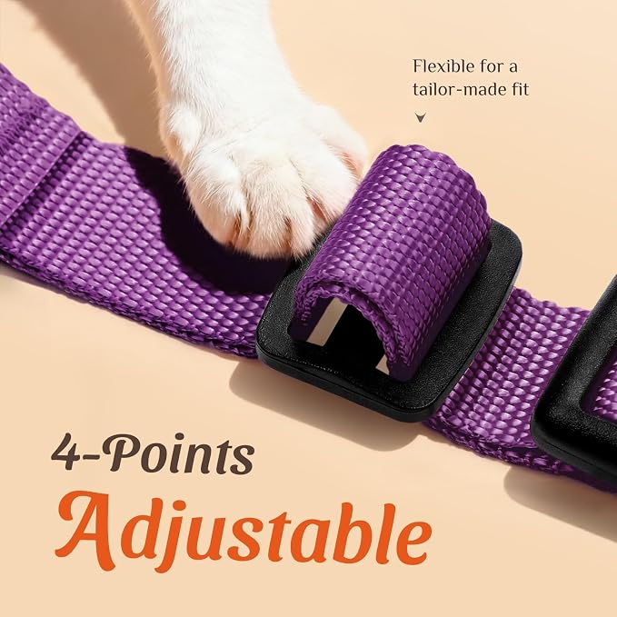 Dooradar Cat Harness and Leash Set, Escape Proof Safe Adjustable Kitten Vest - Image 3