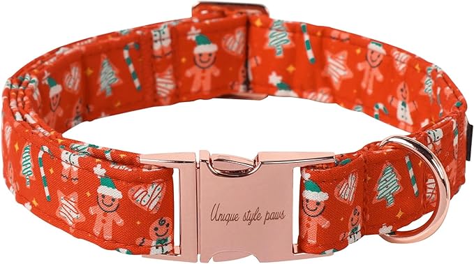 Unique style paws Dog Collar Metal Buckle Collar by Uniquestylepaws