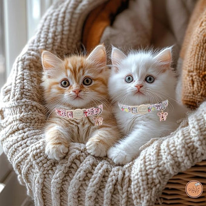 2 Pack Sweet Girly Cat Collars - Image 2
