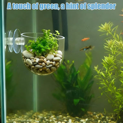 3 Pack Aquarium Plant Holder Clear Fish Tank Plant Holder Fishes Tanks Plants - Image 2