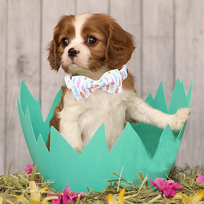 Lionheart glory Easter Dog Collar - Image 5