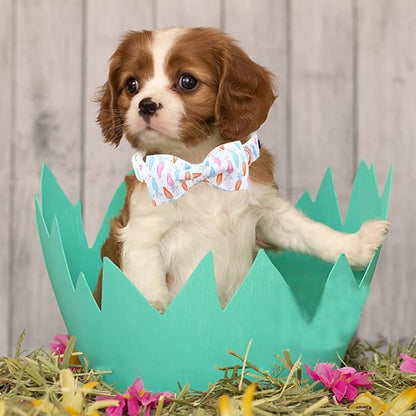 Lionheart glory Easter Dog Collar - Image 5