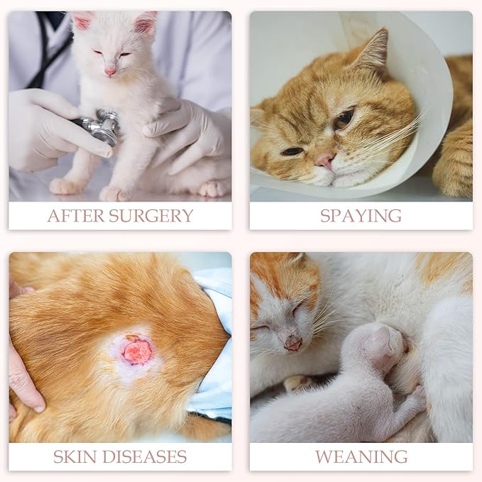 ANWA 2 Pack Cat Recovery Suit - Image 6