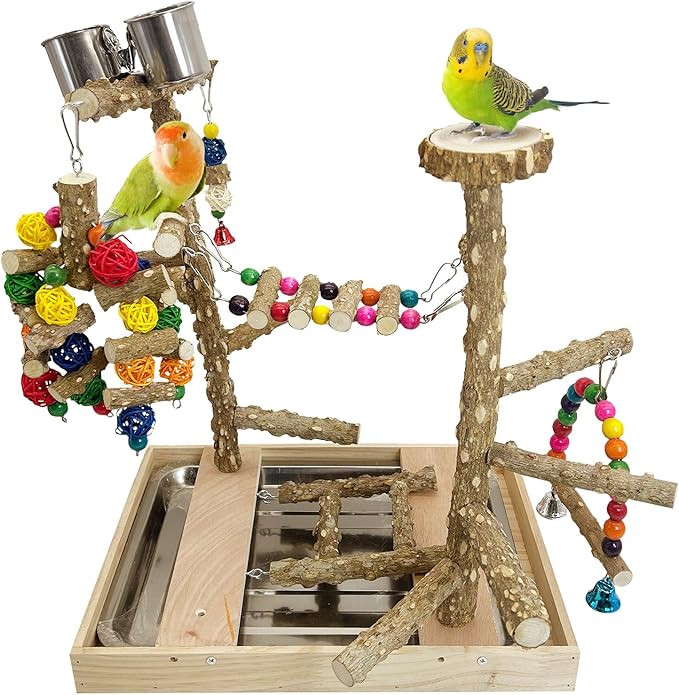 PINVNBY Bird Playground Natural Wood Parrot Perch Stand Bird Play Gym Colorful by PINVNBY