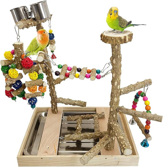 PINVNBY Bird Playground Natural Wood Parrot Perch Stand Bird Play Gym Colorful by PINVNBY