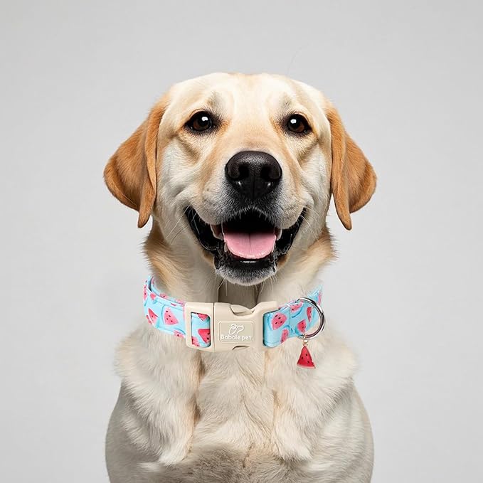 Adjustable Summer Dog Collar, Cute Watermelon Dog Collars - Image 2