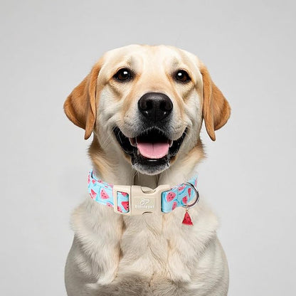 Adjustable Summer Dog Collar, Cute Watermelon Dog Collars - Image 2