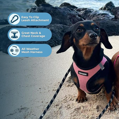 Best Pet Supplies Voyager Step-in Air Harness - Image 5