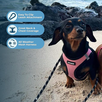 Best Pet Supplies - Image 5