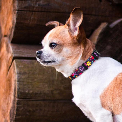 QQPETS Adjustable Soft Dog Collar: Print Flower Pink Multicolor Cute Patterns - Image 2