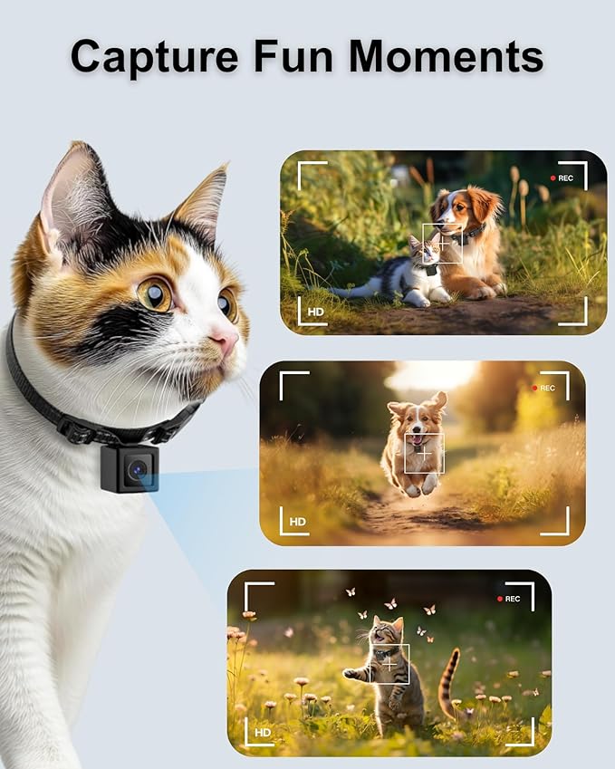 Cat Camera Collar 1080P HD Video Recording Pet POV Cam, NO WiFi NO APP - Image 3
