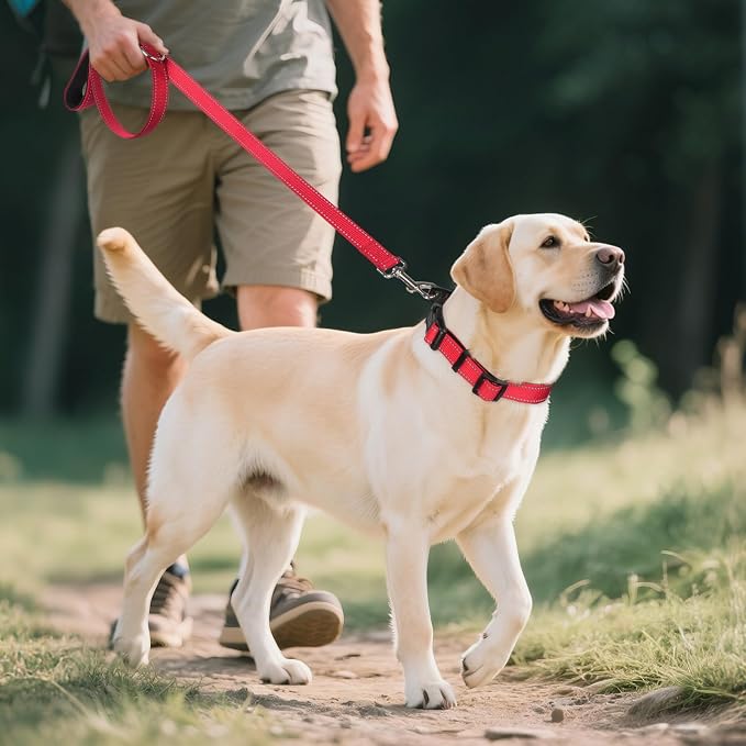 Joytale Reflective Dog Collar, Soft Neoprene Padded Breathable Nylon Pet Collar - Image 6