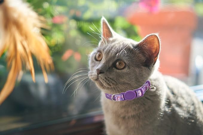 Breakaway Cat Collar with Bell, 2 Pack of Adjustable Floral Cat Collars Cute - Image 5