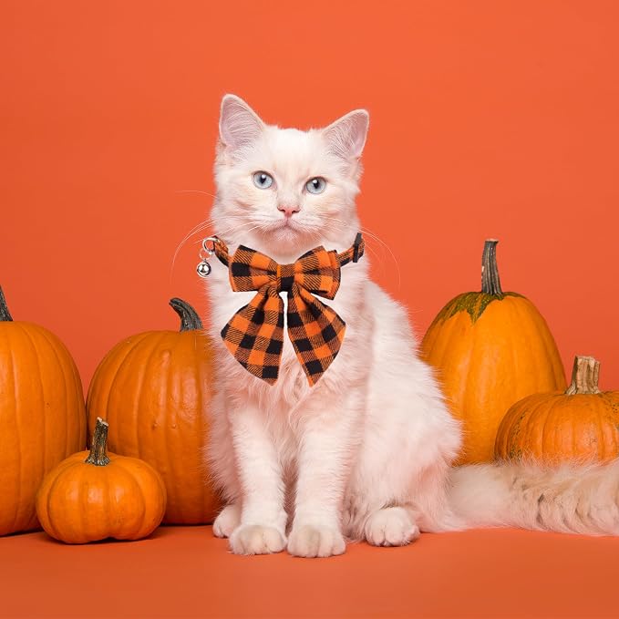ADOGGYGO Halloween Cat Collars - Image 2