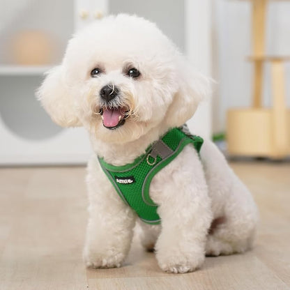 AIITLE Step in Dog Harness and Leash Set - Image 9