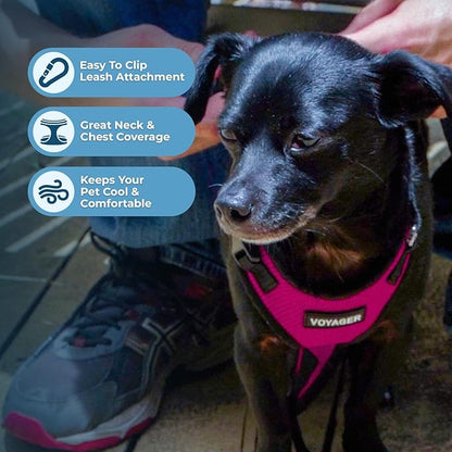 Voyager Step-in Pet Harness - Image 3