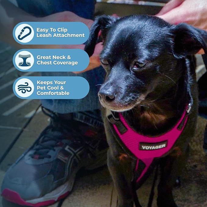 Voyager Step-in Pet Harness - Image 3