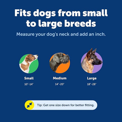 PetSafe KeepSafe Collar for Dogs - Image 5