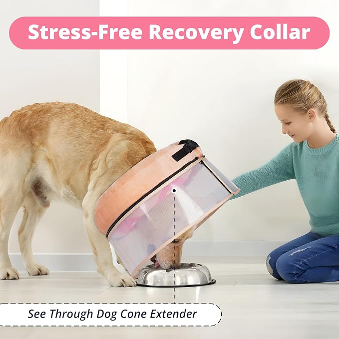 Inflatable Dog Cone with Transparent Shield, Protective Dog Donut Collar After - Image 6