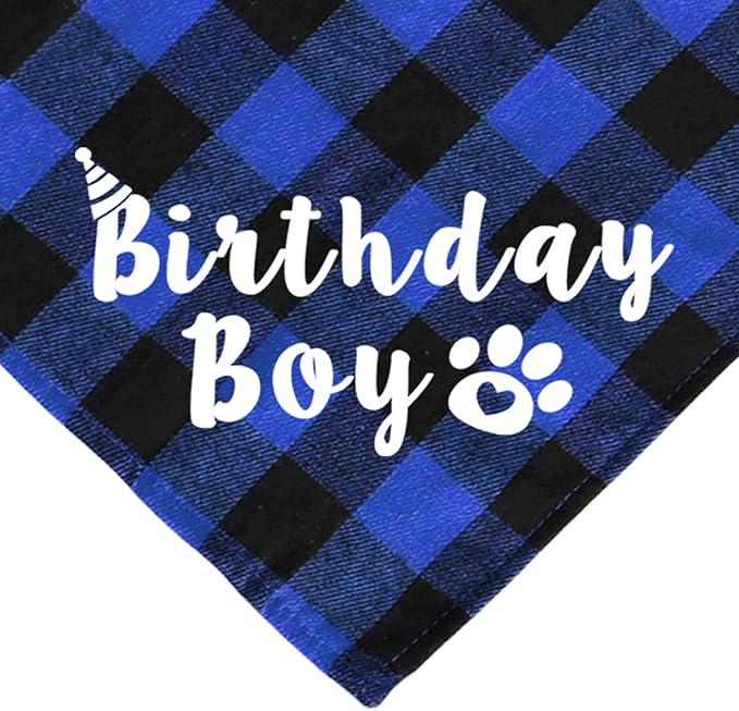 Cat Birthday Party Supplies, Cat Birthday Hat - Image 4