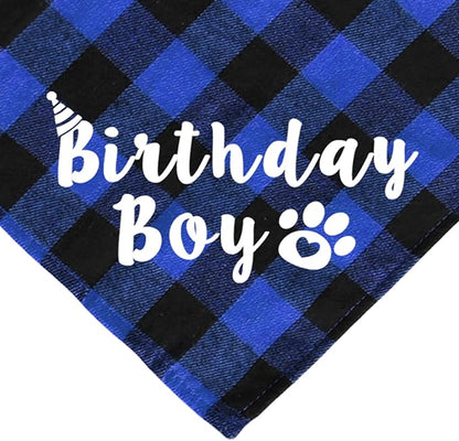 Cat Birthday Party Supplies, Cat Birthday Hat - Image 4
