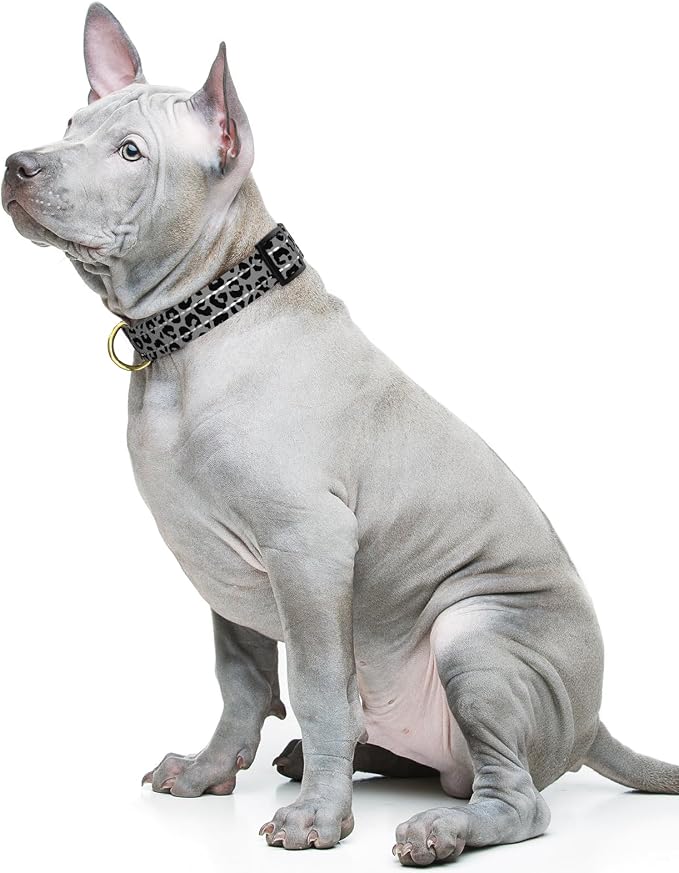 Reflective Dog Collar for Medium Dogs, Cute Leopard Style Adjustable Heavy-Duty - Image 2