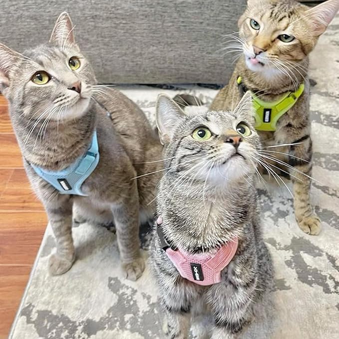Voyager Step-in Lock Adjustable Cat Harness w. Cat Leash Combo Set - Image 6