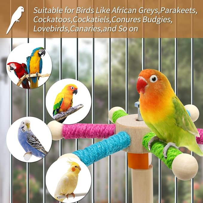 Bird Perch Toy for Cage, Spinning Windmill Bird Perch Toy, 360° Rotating - Image 5