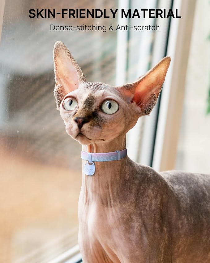 Cat Collar with QR Code Name Tag, Breakaway Kitten Collar - Image 5
