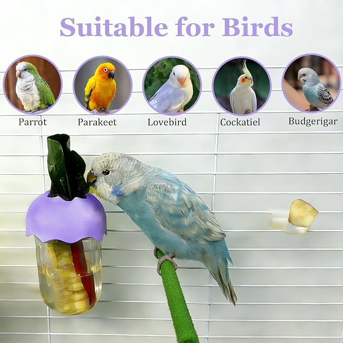 7 PCS Bird Cage Feeder for Vegetable Millet Holder Cage Accessories - Image 7