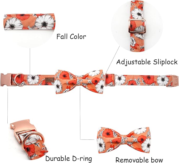 Fall Dog Collar, Pet Collar Bow Floral Pet Collar Girl Boy Holiday Pet Collars - Image 5