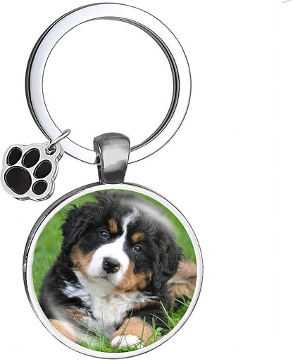 Custom Pet Photo Keychain Personalized Photo Pawprint Dog Tag Keychain Engraved - Image 4