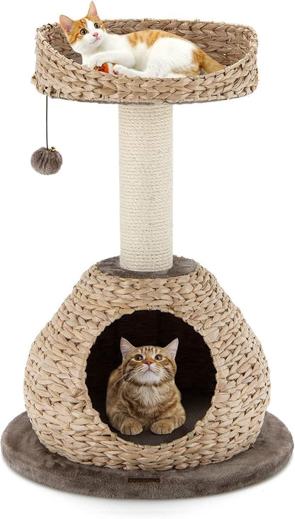 PETSITE Modern Cat Tree Tower, Paper Rope Natural Bowl Shaped by PETSITE