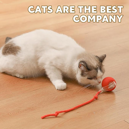 Chewie Viral Rolling Pet Ball, Interactive Cat & Dog Toy, 360 Smart Automatic - Image 2